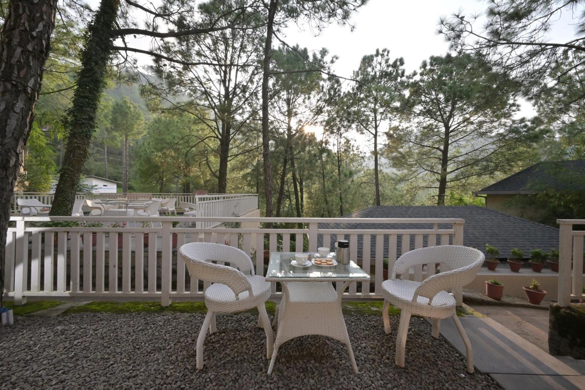 Jungle Lodge Resort Kasauli Oda fotoğraf